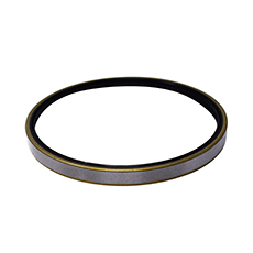 PAYEN NJ-391 138X152X12 TB_NBR