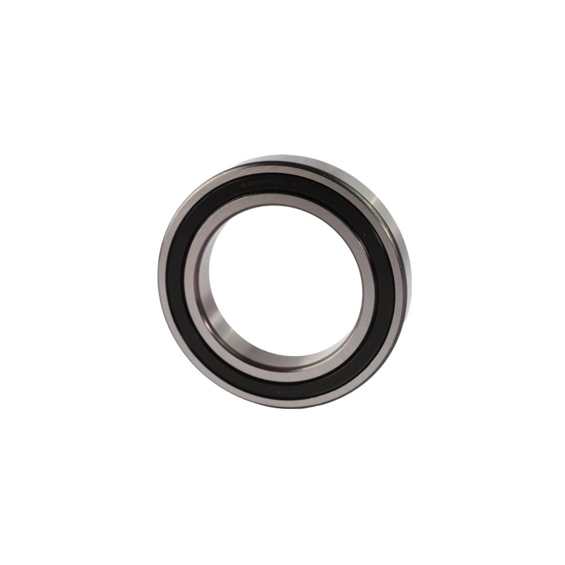 6013-2RSR-L038 FAG