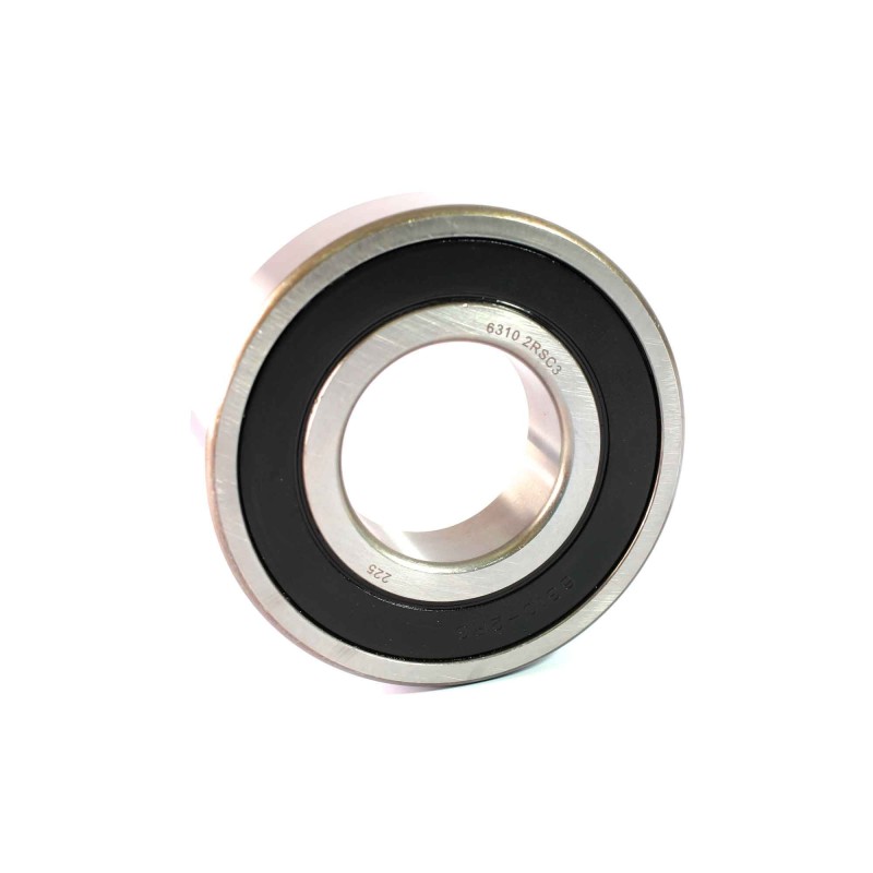6310-2RS-C3 DJF