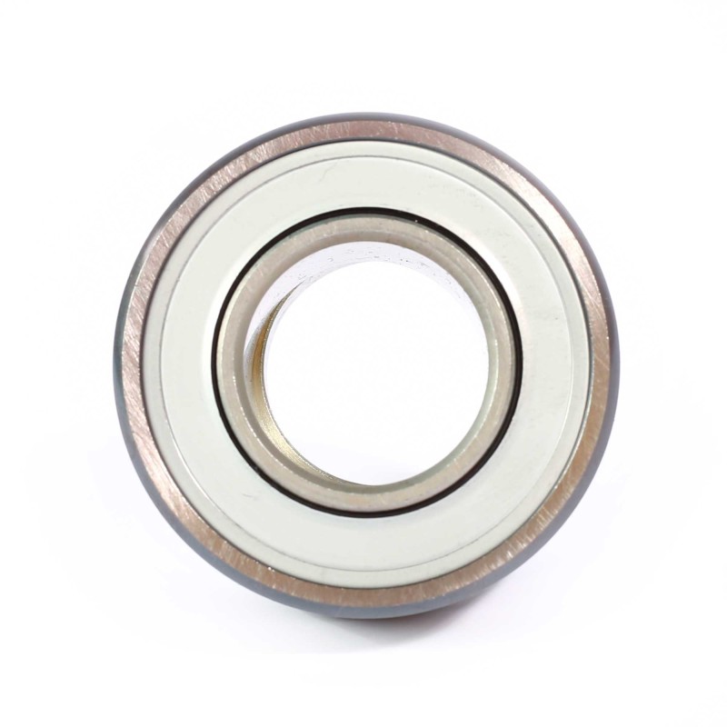 RAE25-XL-NPP-FA106 INA INDUSTRIAL
