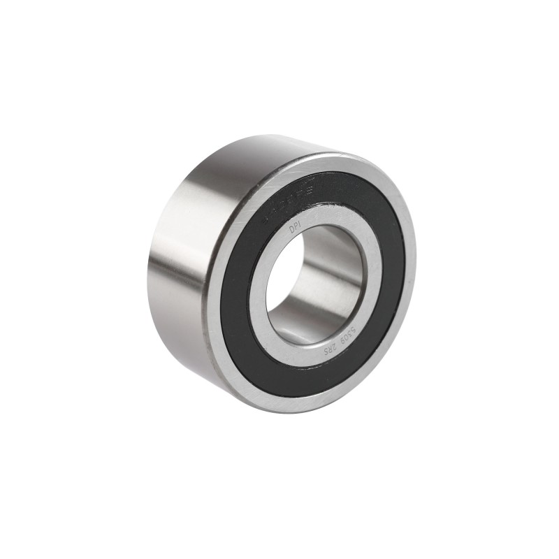 5309-2RS DJF