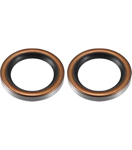 SC 20*40*7VITON OKAMI RETENEDORES